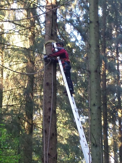 Maibaum_2016 (3)